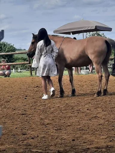 Les Indomptables - Cheval - Feu - Aérien