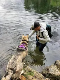 Education du Chien-éducateur Comportementaliste Canin
