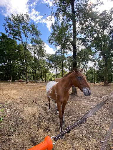 Centre Equestre du Barangeon