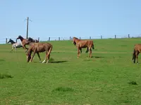 Ecuries du Centaure