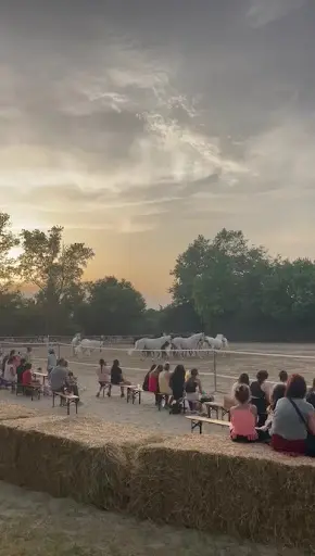 Poney Club de Vigoulet Sce