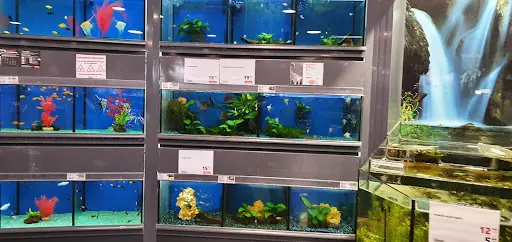 Jardiland