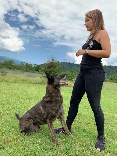 Angélique Daloiso - Accompagnement Bien-être Pour les Humains et les Animaux - Educateur Canin