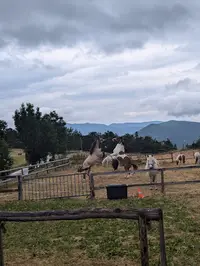 Poney Club des Clots