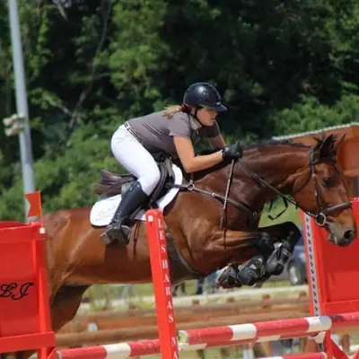 Equiquality