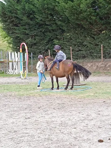 Centre Équestre Cheval Malepère