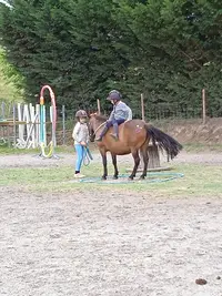 Centre Équestre Cheval Malepère