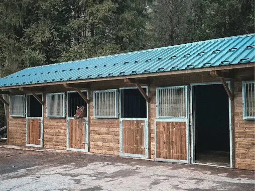 Bmd Horse