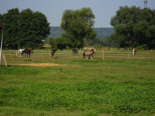 Pension Chevaux : Ferme de Gérardcourt