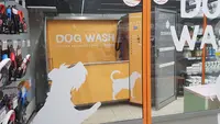 Tom&co Blois - Animalerie - Dog Wash