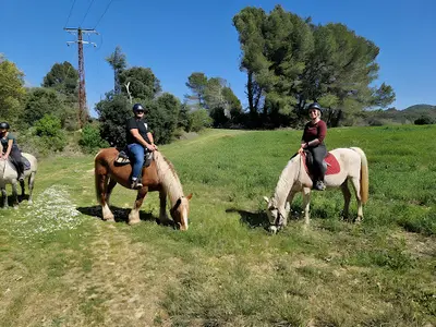 Ferme de Lamoure (balade À Poney)