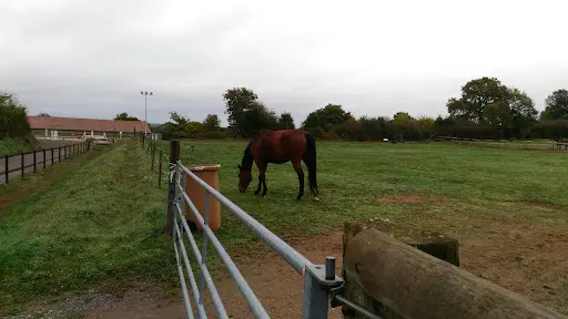 Centre Equestre de Villebret