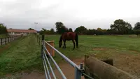 Centre Equestre de Villebret