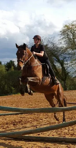 Haras de Villechetive