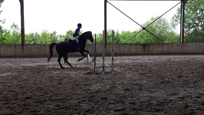 Centre Equestre de Villedoux