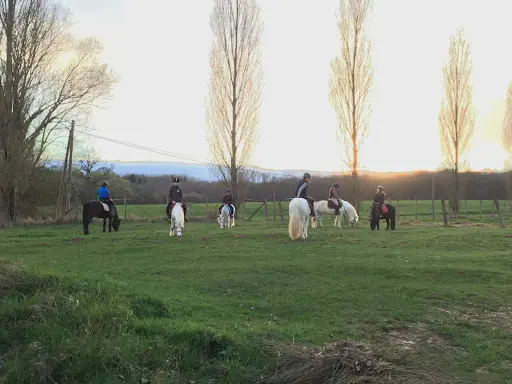 Centre Equestre Alix