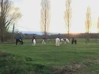 Centre Equestre Alix