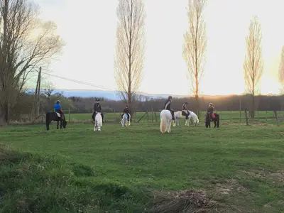 Centre Equestre Alix