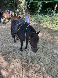 Segala Levezou Équitation