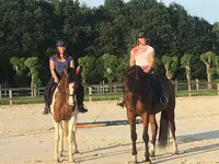 Haras du Bois Courtin Hbc