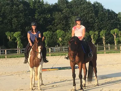 Haras du Bois Courtin Hbc