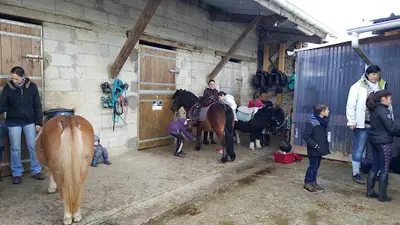 Les Ecuries de Villemer Villemer