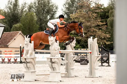 Haras de Voise