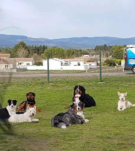 Club Canin de Villemoustaussou