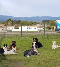Club Canin de Villemoustaussou