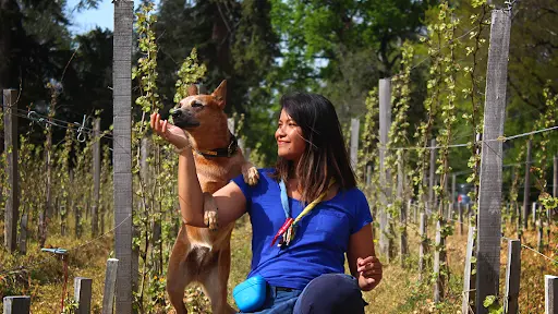 Uncianimals Educateur Canin Comportementaliste
