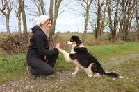 Dog S Angel - Educateur Canin