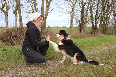 Dog S Angel - Educateur Canin