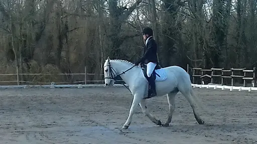 Poney Club Villeneuve d'Ascq