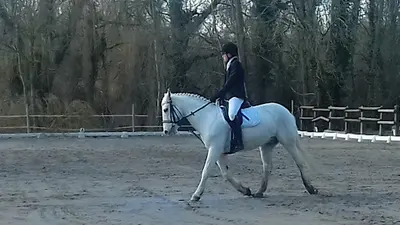 Poney Club Villeneuve d'Ascq