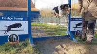 S Cooldog