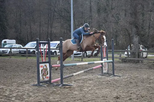 Centre Equestre du Moulin et Elevage d'