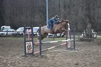 Centre Equestre du Moulin et Elevage d'