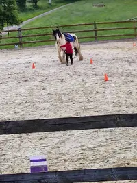 Centre Equestre de la Menagerie