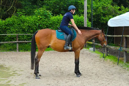Ecurie de l'Evasion