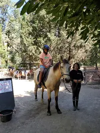 Les Poneys de la Plaine