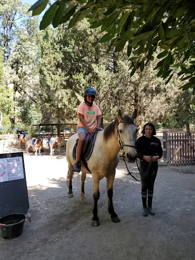 Les Poneys de la Plaine
