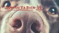 Toutou Va Bien - Éducateur Canin, Comportementaliste