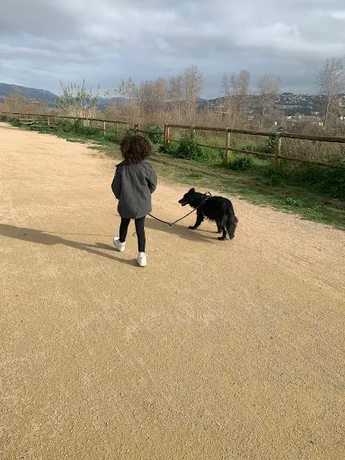 Cats & Dogs Educ