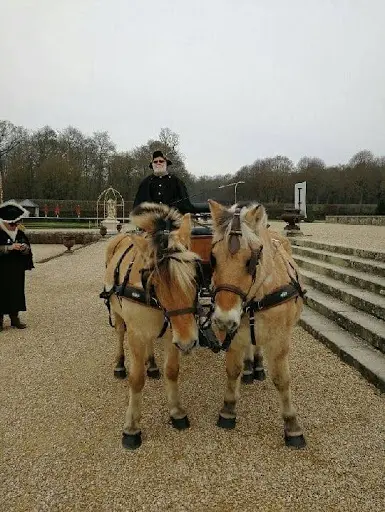 Au Rythme des Poneys