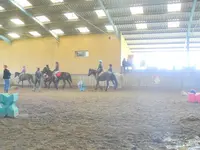 Poney Club de la Marsale