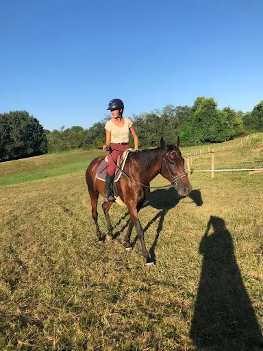 Villeneuve Equitation