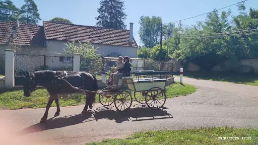 Attelage Passion