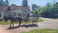 Attelage Passion