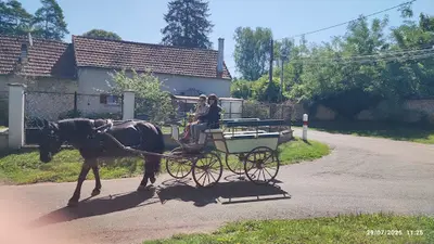 Attelage Passion