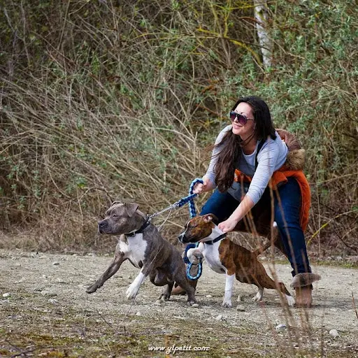 Alexandra Education Canine 78